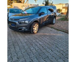 Citroen C4 Cactus Gebrauchtwagen