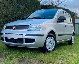 Fiat Panda Gebrauchtwagen