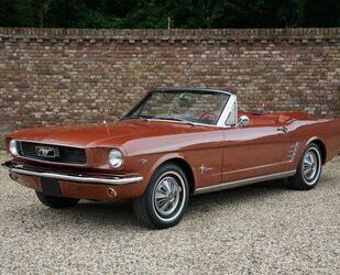 Ford Mustang Gebrauchtwagen