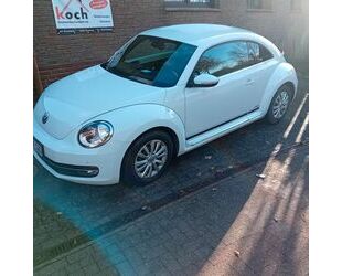 VW Beetle Gebrauchtwagen