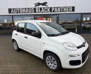 Fiat Panda Gebrauchtwagen
