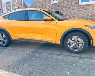 Ford Mustang Mach-E Gebrauchtwagen