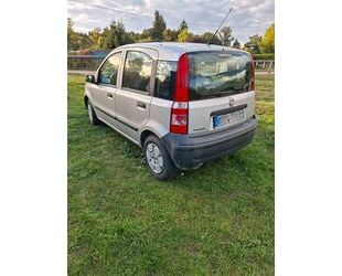 Fiat Panda Gebrauchtwagen