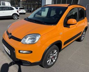 Fiat Panda Gebrauchtwagen