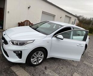 Kia ceed / Ceed Gebrauchtwagen