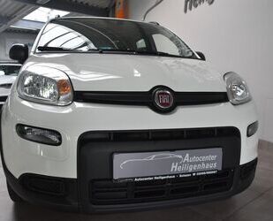 Fiat Panda Gebrauchtwagen