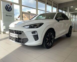 Cupra Terramar Gebrauchtwagen