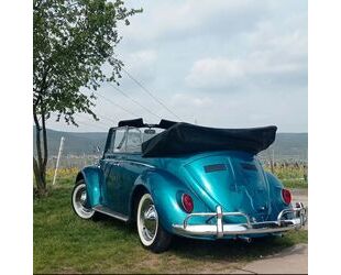 VW Käfer Gebrauchtwagen