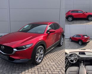 Mazda CX-30 Gebrauchtwagen