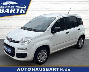 Fiat Panda Gebrauchtwagen