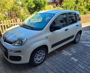 Fiat Panda Gebrauchtwagen