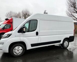 Fiat Ducato Gebrauchtwagen