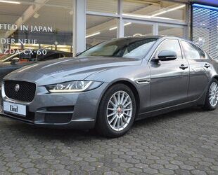 Jaguar XE Gebrauchtwagen
