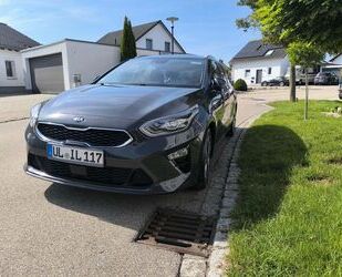 Kia ceed / Ceed Gebrauchtwagen