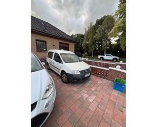 VW Caddy Gebrauchtwagen