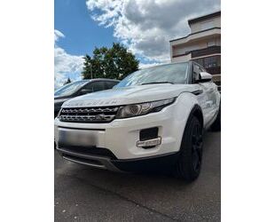 Land Rover Range Rover Evoque Gebrauchtwagen