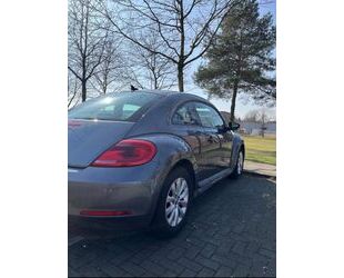 VW Beetle Gebrauchtwagen