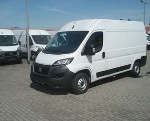 Fiat Ducato Gebrauchtwagen