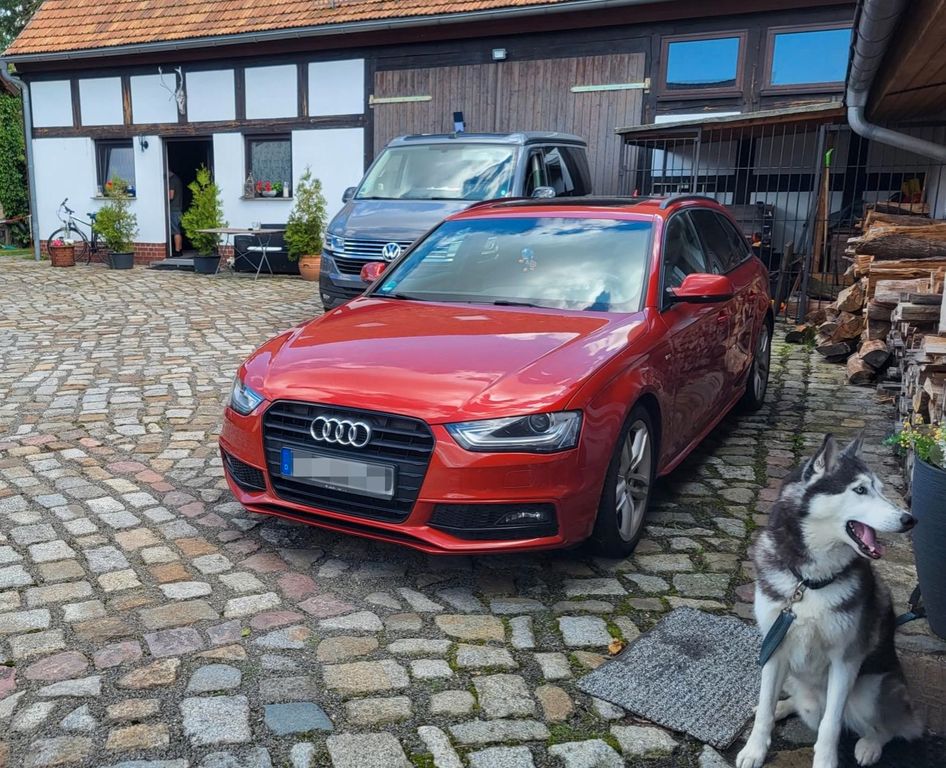 Bild 1