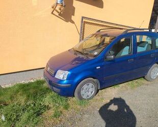 Fiat Panda Gebrauchtwagen