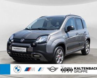 Fiat Panda Gebrauchtwagen