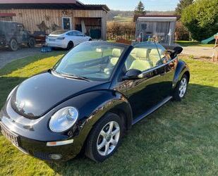 VW New Beetle Gebrauchtwagen