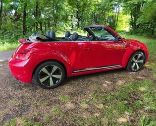 VW Beetle Gebrauchtwagen