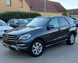 Mercedes-Benz ML 250 Gebrauchtwagen