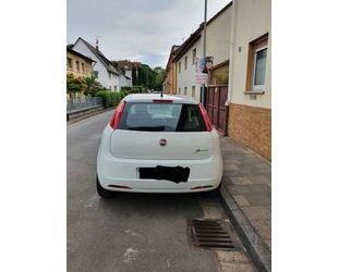 Fiat Punto Gebrauchtwagen