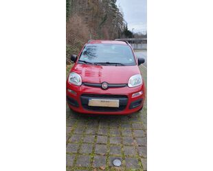 Fiat New Panda Gebrauchtwagen