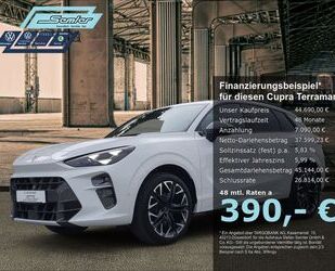 Cupra Terramar Gebrauchtwagen