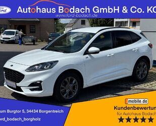 Ford Kuga Gebrauchtwagen
