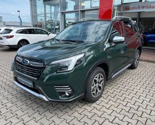 Subaru Forester Gebrauchtwagen