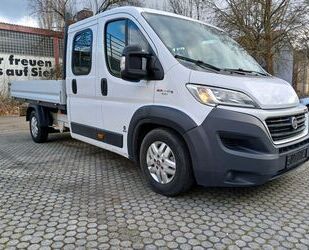 Fiat Ducato Gebrauchtwagen