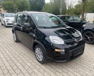 Fiat Panda Gebrauchtwagen