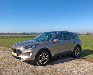 Ford Kuga Gebrauchtwagen