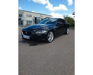 Jaguar XE Gebrauchtwagen
