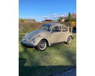VW Käfer Gebrauchtwagen