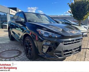 Cupra Terramar Gebrauchtwagen