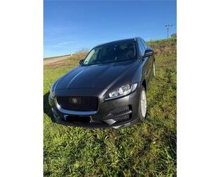 Jaguar F-Pace Gebrauchtwagen