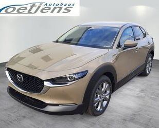 Mazda CX-30 Gebrauchtwagen