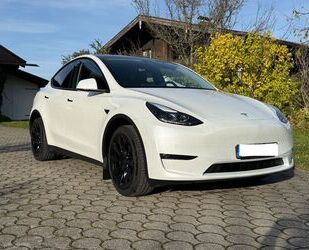 Tesla Model Y Gebrauchtwagen