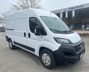 Fiat Ducato Gebrauchtwagen
