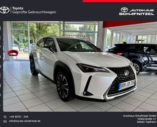 Lexus UX Gebrauchtwagen