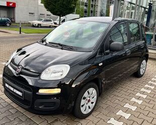 Fiat Panda Gebrauchtwagen