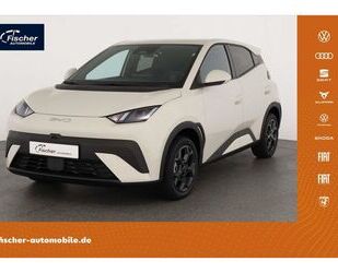 BYD DOLPHIN Gebrauchtwagen
