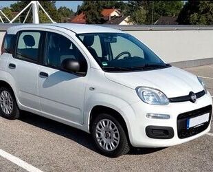 Fiat Panda Gebrauchtwagen