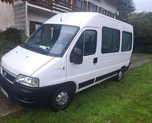 Fiat Ducato Gebrauchtwagen