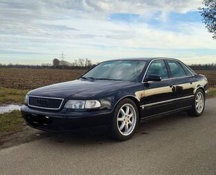 Audi A8 Gebrauchtwagen