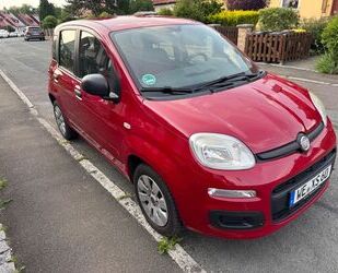 Fiat Panda Gebrauchtwagen